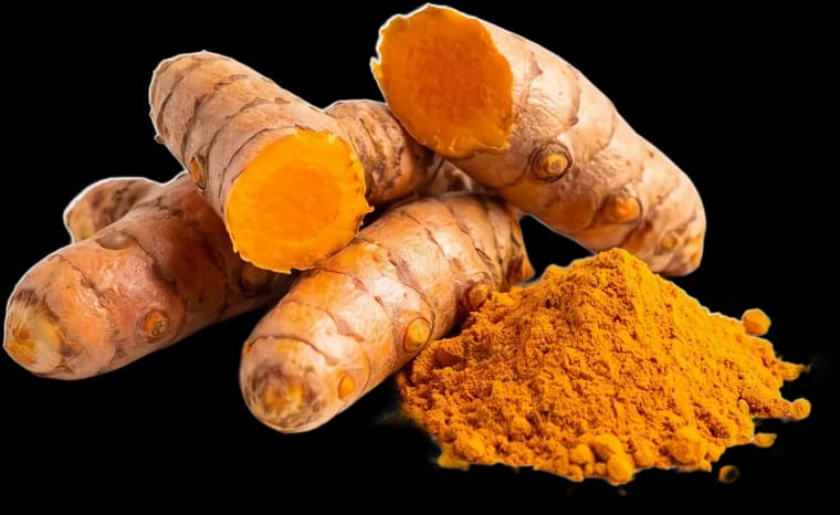 Lakadong Turmeric from Meghalaya