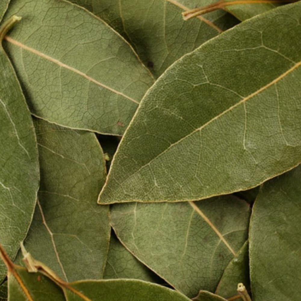 Dried whole bay leaves