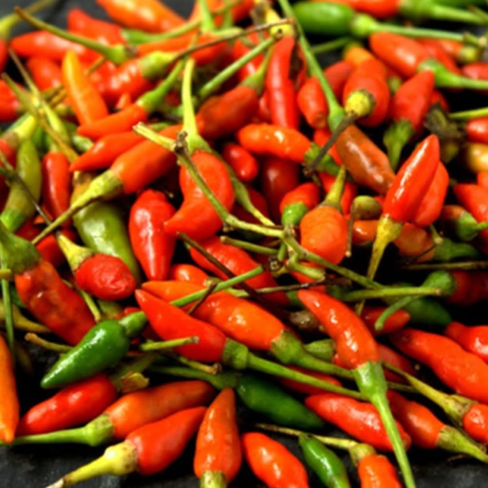 Fresh red and green bird's eye chillies