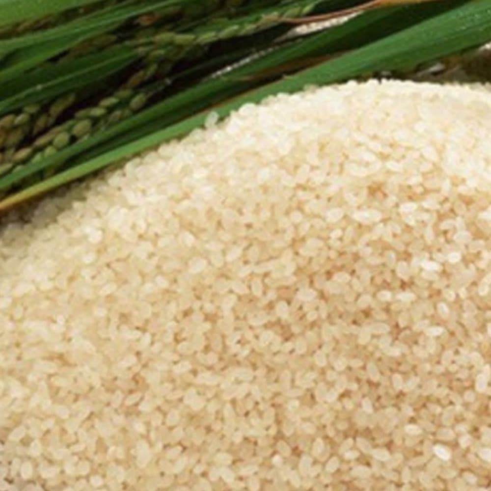 Joha rice grains with rice stalks