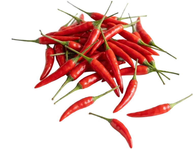 Bird's Eye Chilli from Mizoram