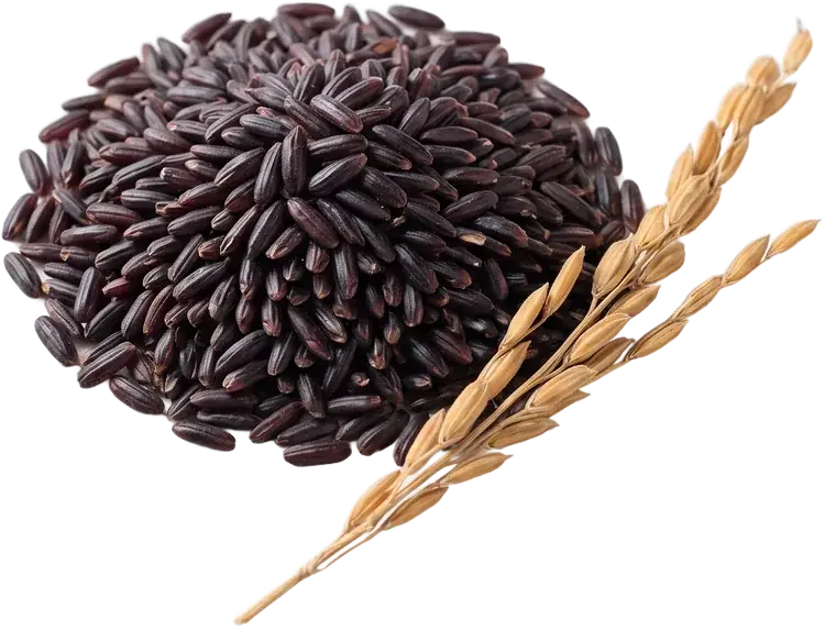 Black Rice from Manipur