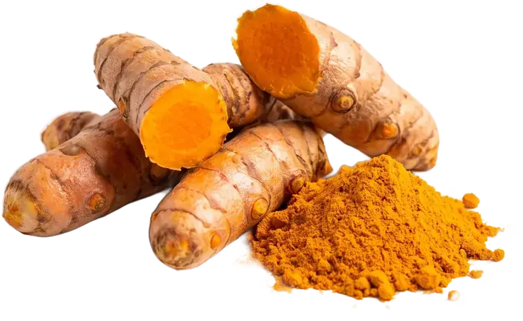 Lakadong Turmeric from Meghalaya