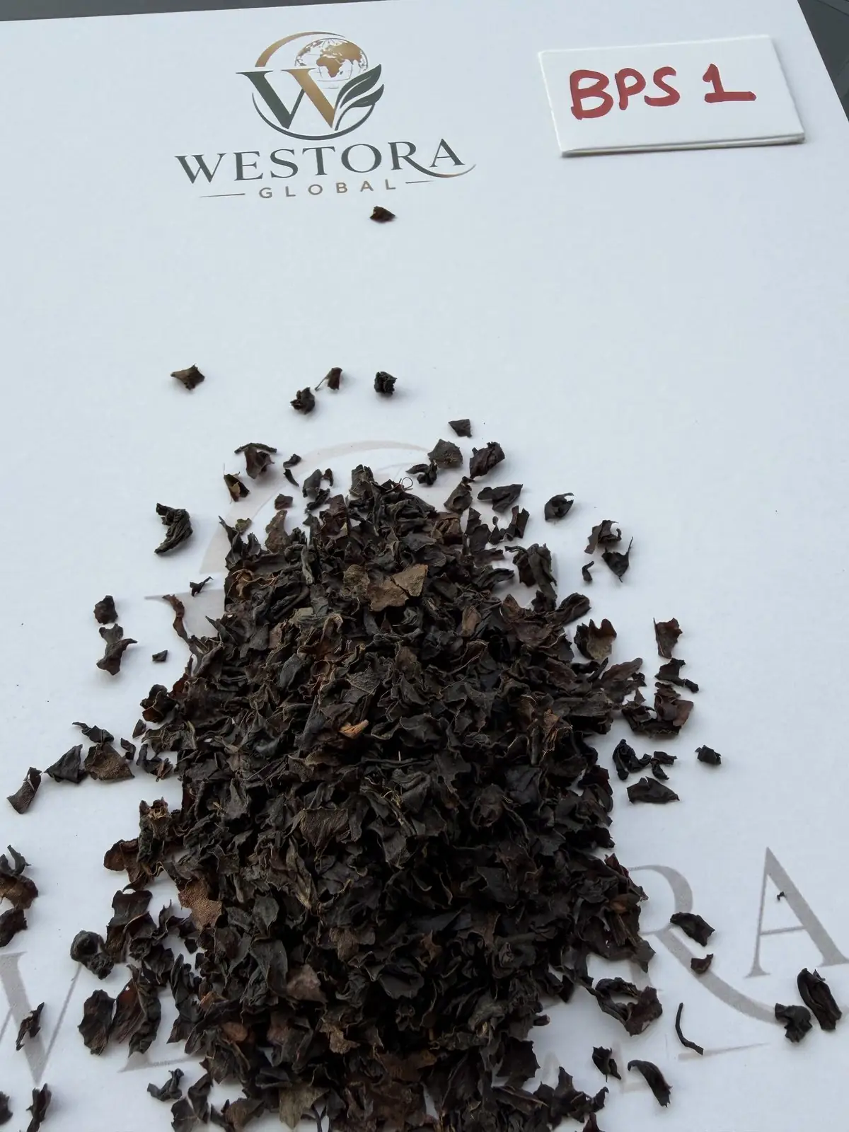 阿萨姆传统工艺红茶 — BPS1 等级 — Dry Assam orthodox black tea, BPS1 grade, on a Westora Global sample sheet