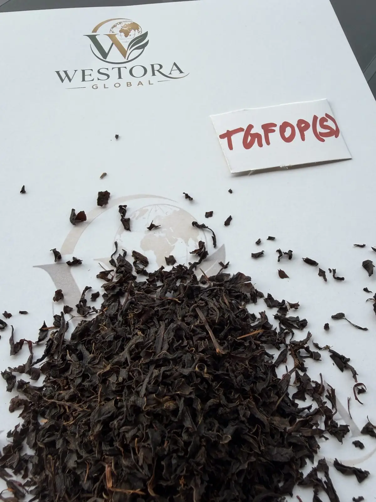 TGFOP(S) — 条索紧结、多芽头特写 — Close-up of Assam TGFOP(S) orthodox black tea leaf showing wiry twisted leaf