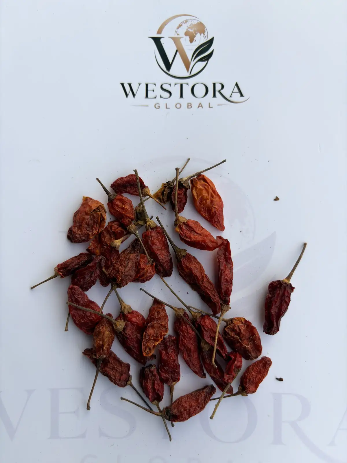 乾燥唐辛子とヘタのクローズアップ — Close-up of dried Bird's Eye Chilli pods with stems from Mizoram