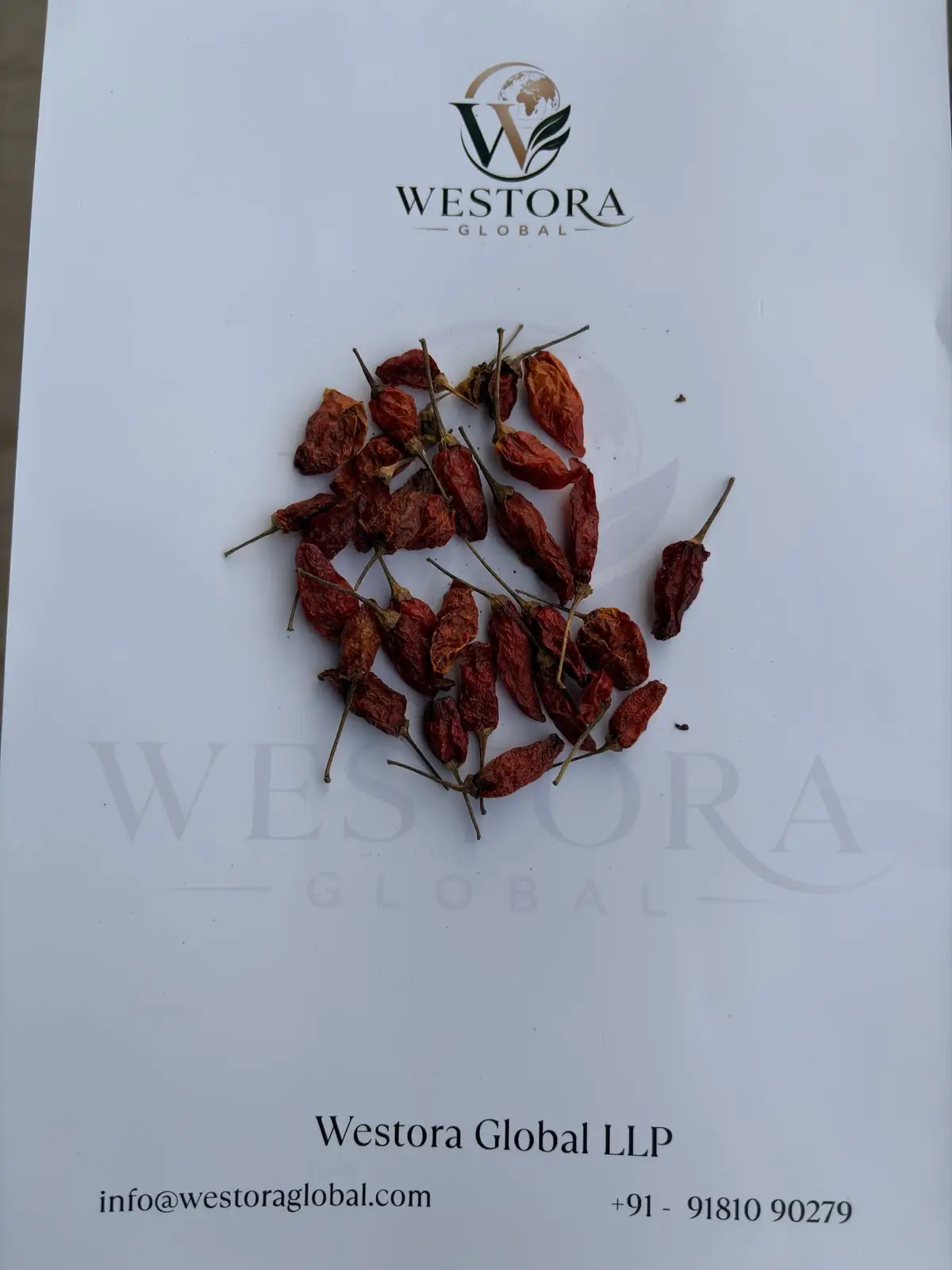乾燥バーズアイチリ — サンプルロット — Dried red Bird's Eye Chilli (Mizo chilli) pods with stems on a Westora Global sample sheet
