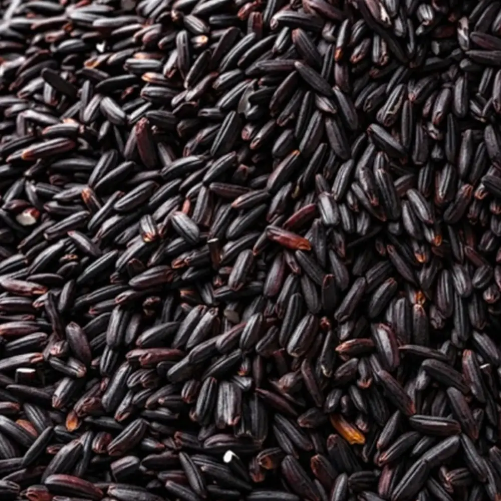 ข้าวดำ (จักเฮา) — Black Rice