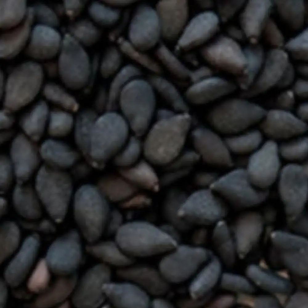 Whole black sesame seeds