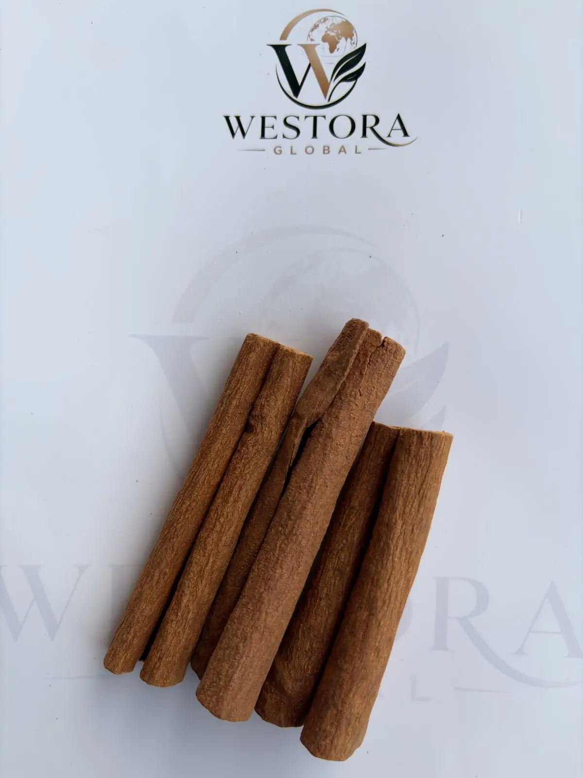 肉桂卷 — 特写 — Close-up of rolled cinnamon bark quills