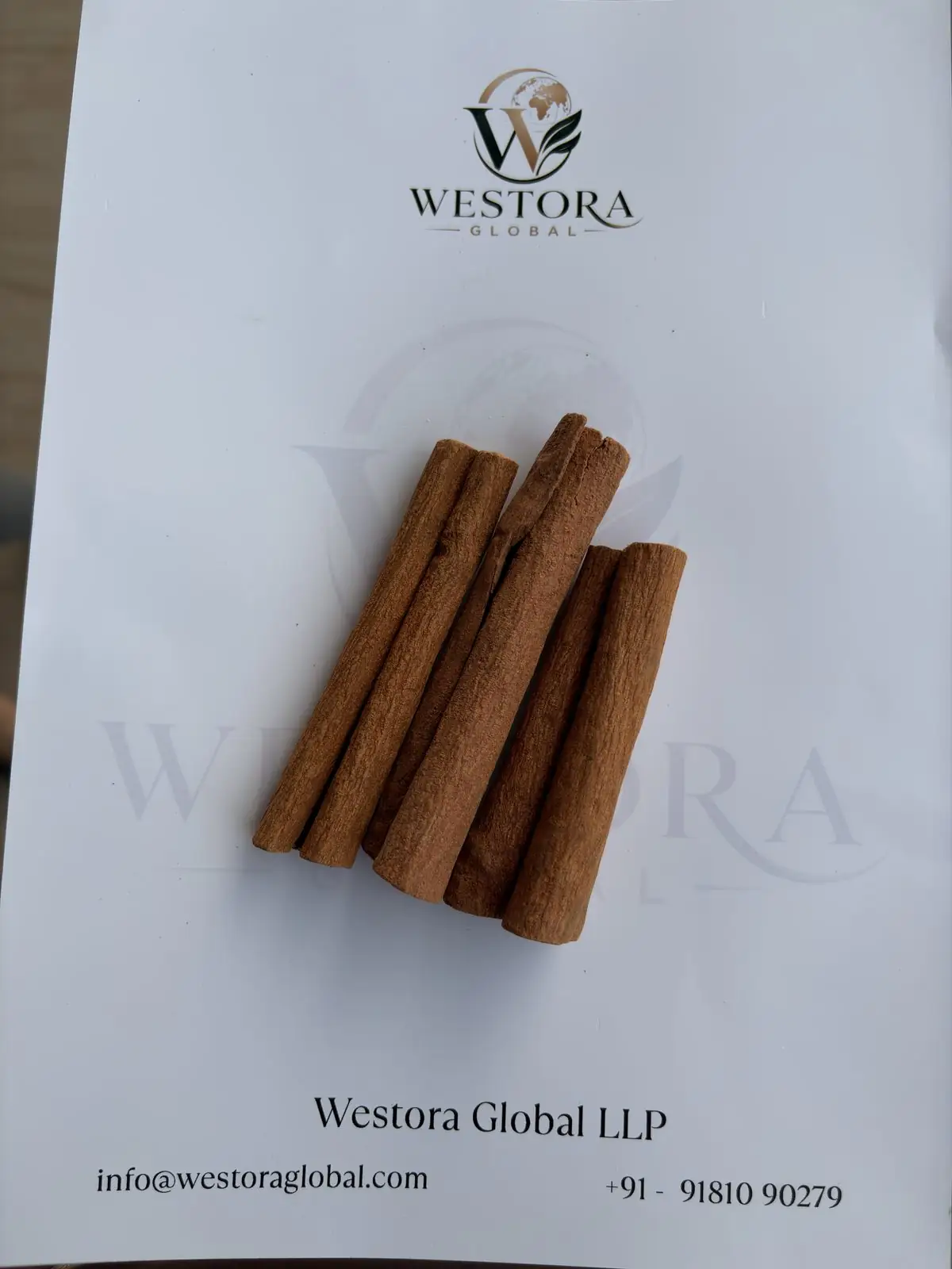 肉桂卷 — 样品 — Rolled cinnamon bark quills from Northeast India on a Westora Global sample sheet
