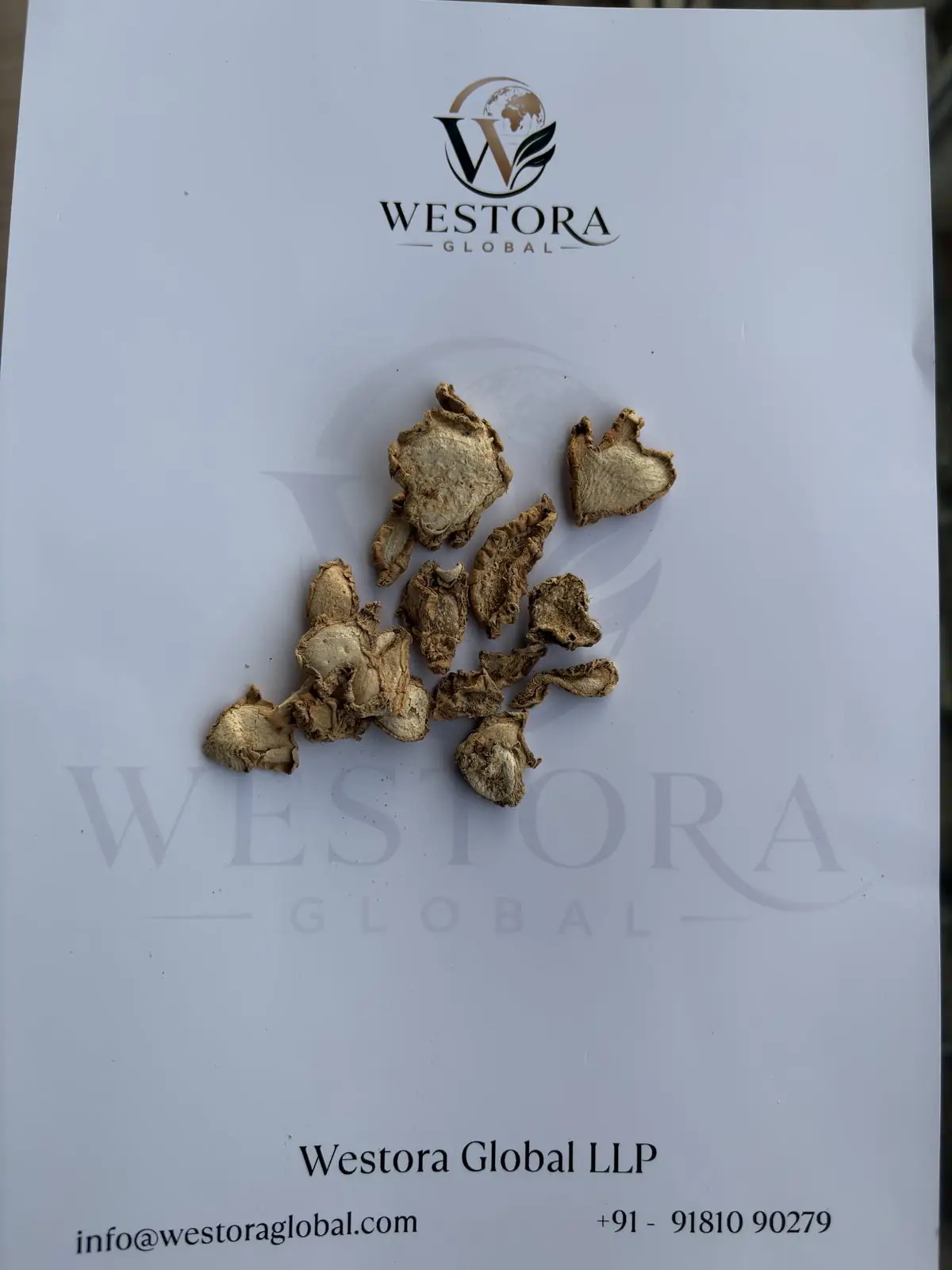 شرائح الزنجبيل المجفف — عينة — Dried ginger slices from Karbi Anglong, Assam, on a Westora Global sample sheet