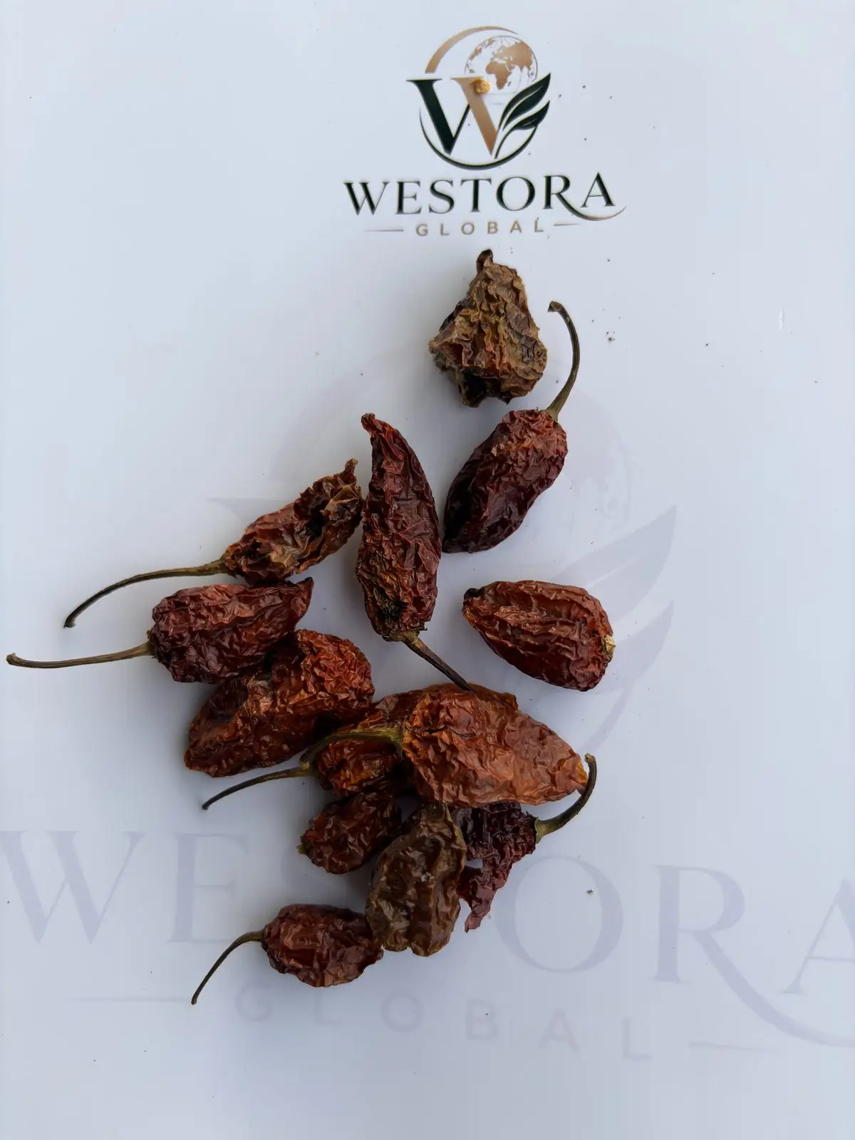 لقطة قريبة للقرون المجففة المتجعدة — Close-up of dried, wrinkled Bhut Jolokia ghost pepper pods