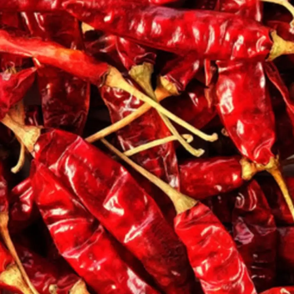 テパ・チリ(アッサム産唐辛子) — Tepa Chilli