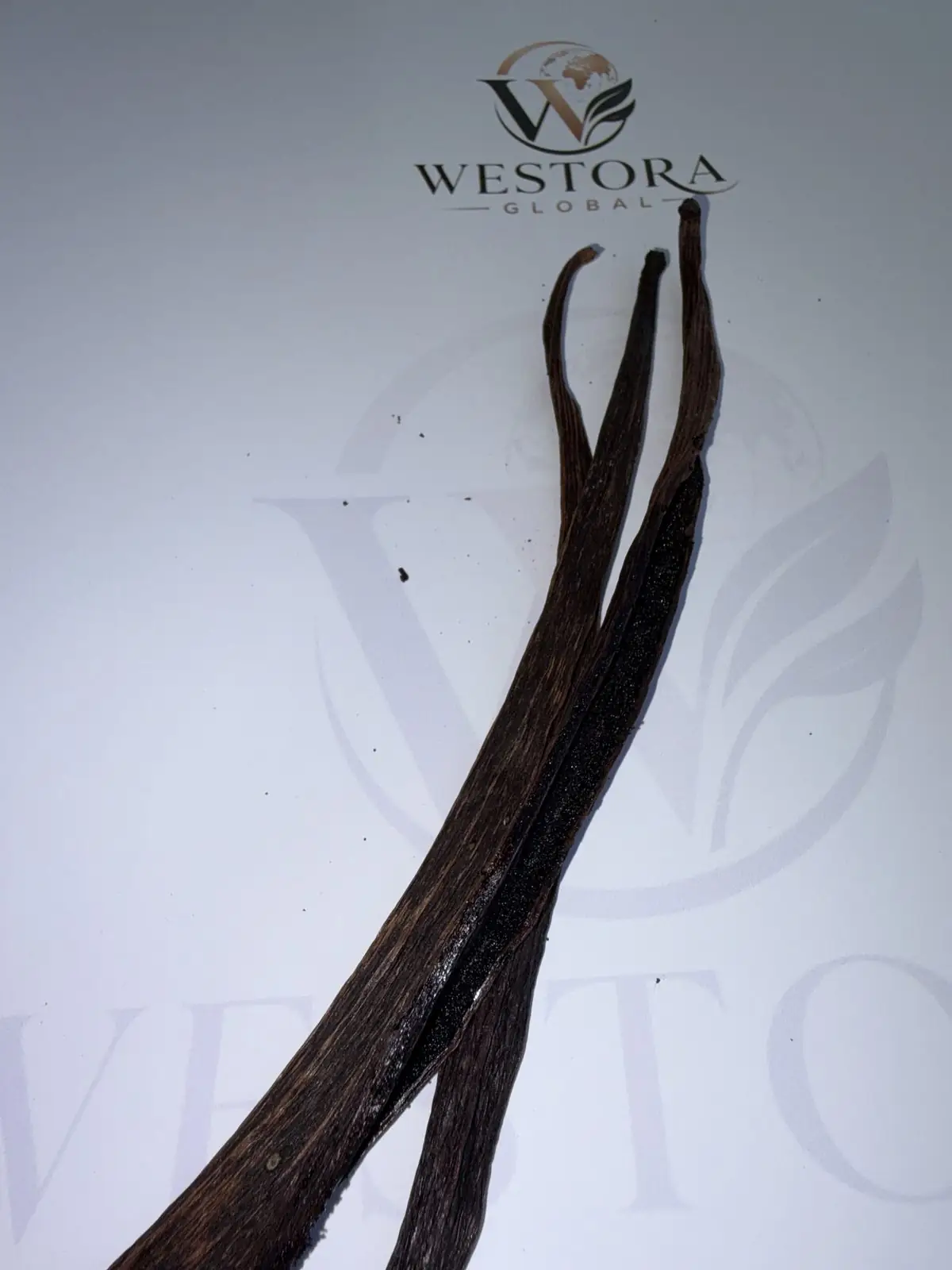 لقطة قريبة للقرن — القشرة واللمعان — Close-up of a cured vanilla pod showing oily skin and deep brown colour