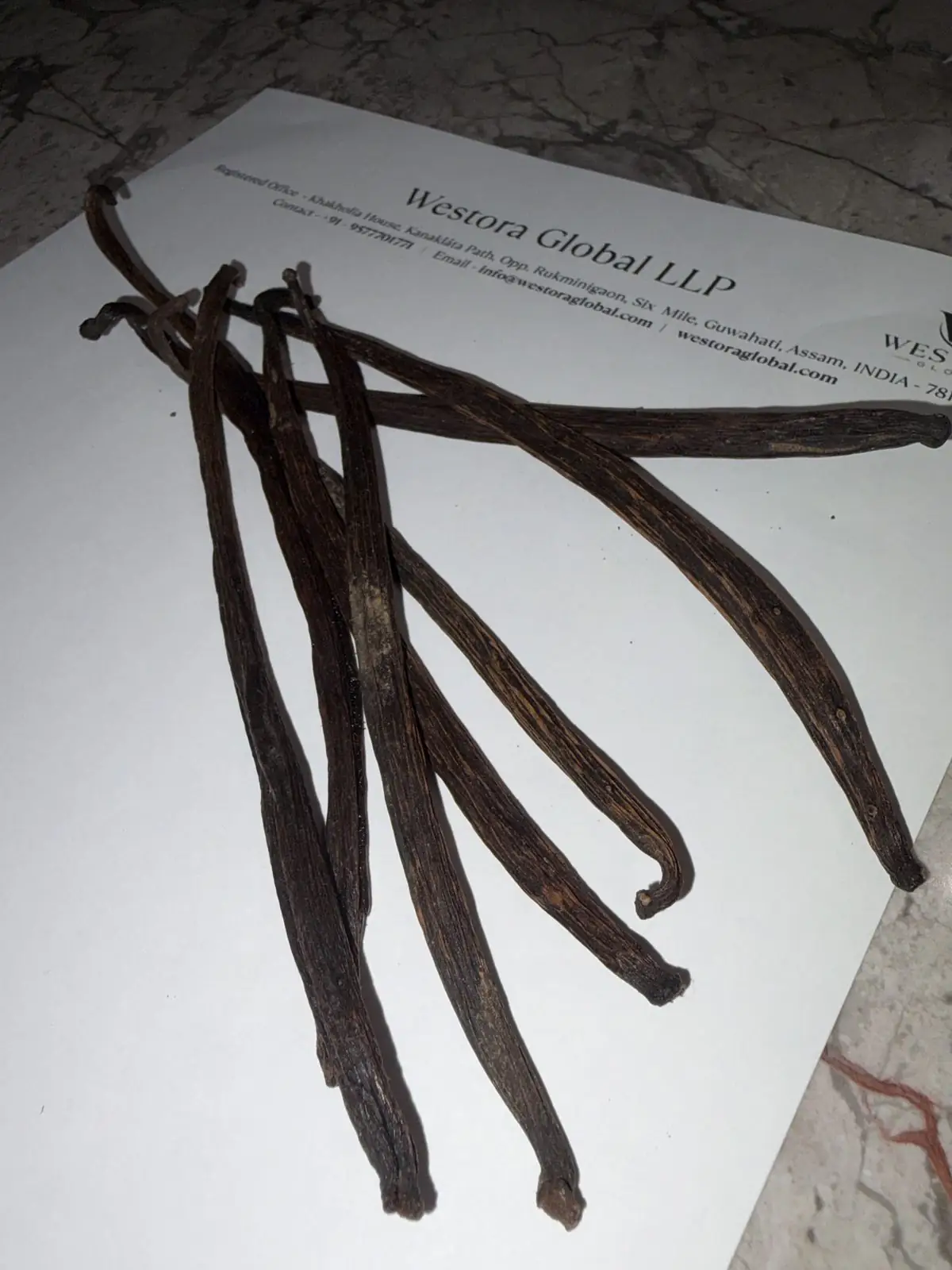 قرون فانيليا معالجة — حزمة عينات — Bundle of dark, oily cured Vanilla planifolia pods from a Westora Global sample