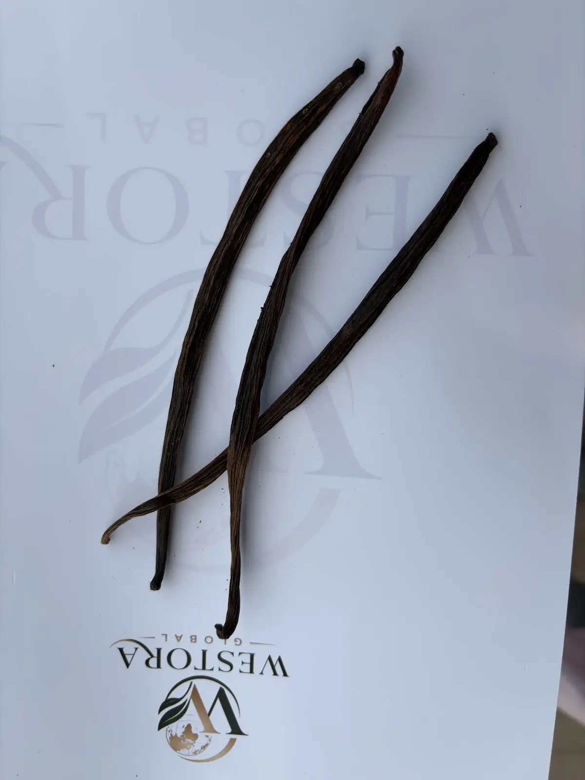 قرون كاملة معالجة — الطول واللون — Long dark cured vanilla pods from Northeast India showing length and colour